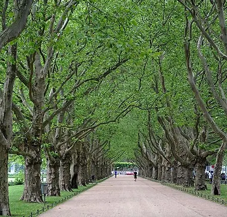 Апартаменты Hanza Loft 913 *