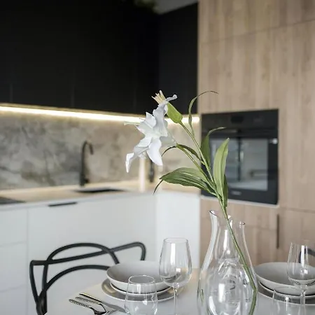 Hanza Loft 913 * Щецин