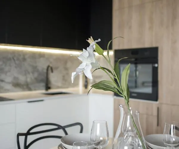 Hanza Loft 913 * Szczecin